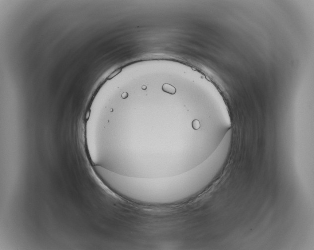 X0000111831476200909031503