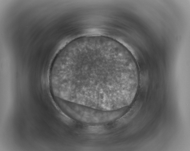 X0000111831477200909031503