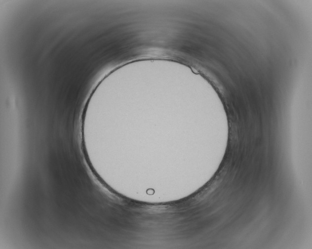 X0000111831479200909031503