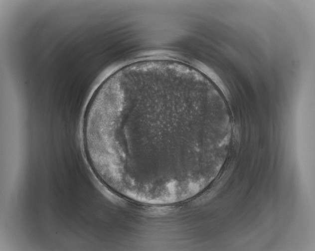 X0000111831482200909031503