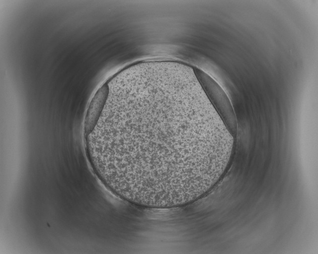 X0000111831485200909031503