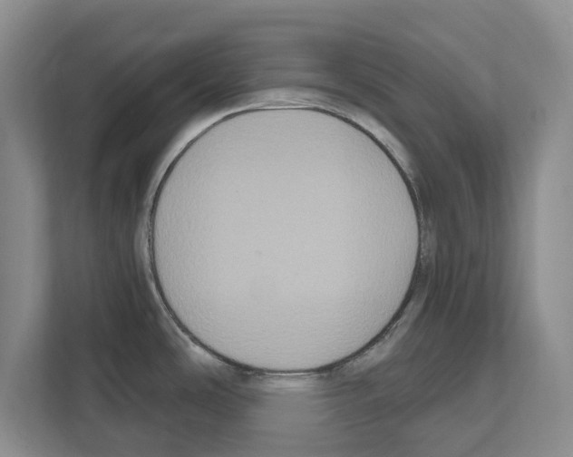 X0000111831486200909031503