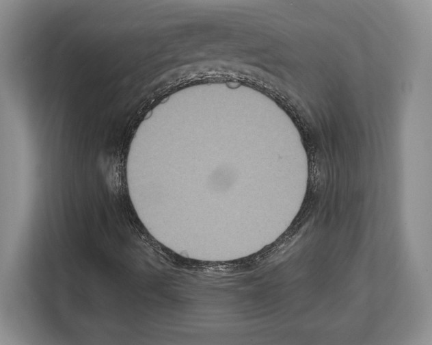 X0000111831490200909031503