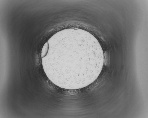 X0000111831491200909031503