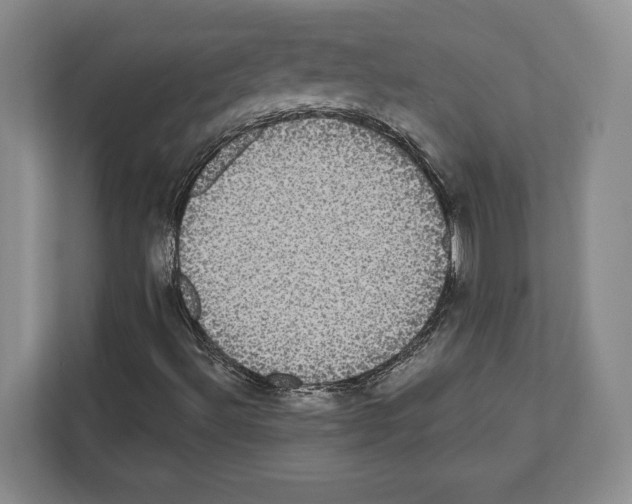 X0000111831492200909031503