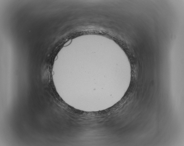 X0000111831493200909031503