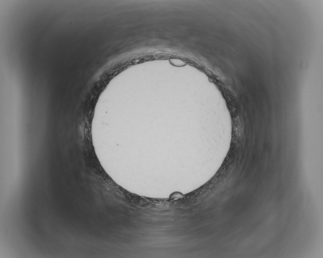 X0000111831495200909031503