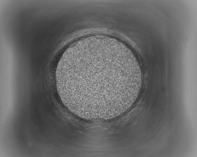 X0000111831496200909031503