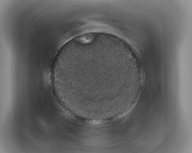 X0000111831497200909031503