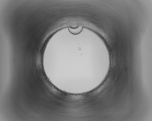 X0000111831498200909031503