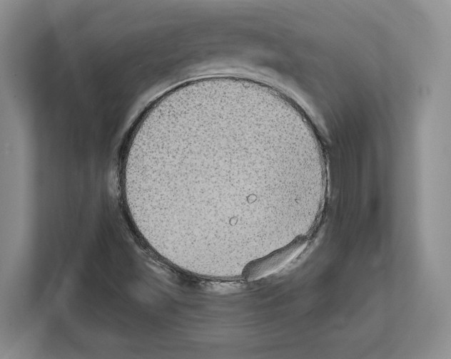 X0000111831501200909031503