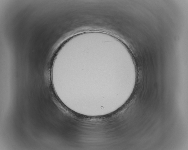 X0000111831503200909031503