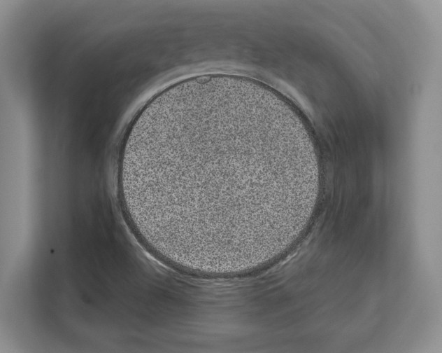 X0000111831504200909031503
