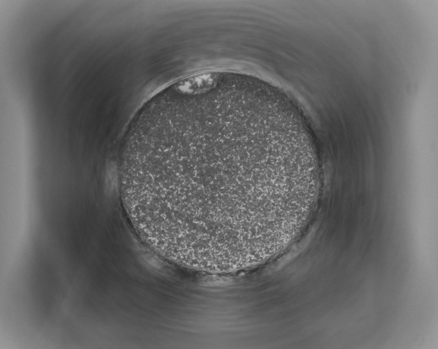 X0000111831505200909031503