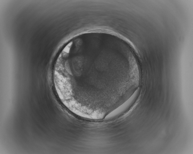 X0000111831506200909031503