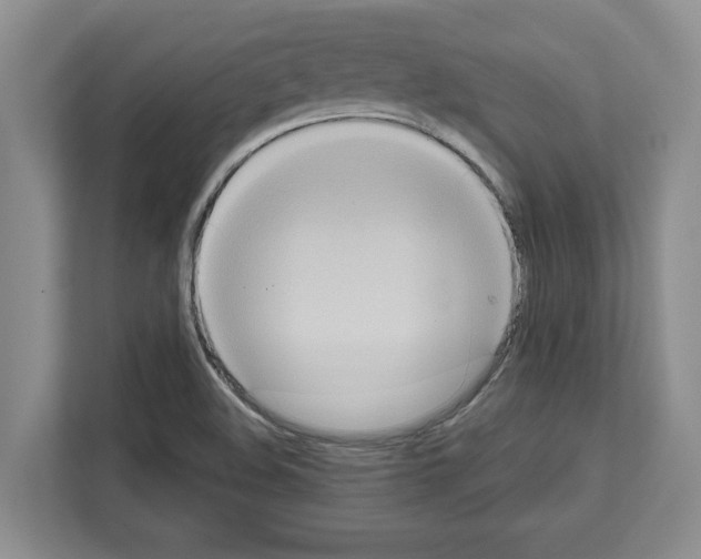 X0000111831508200909031503