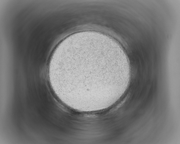 X0000111831509200909031503