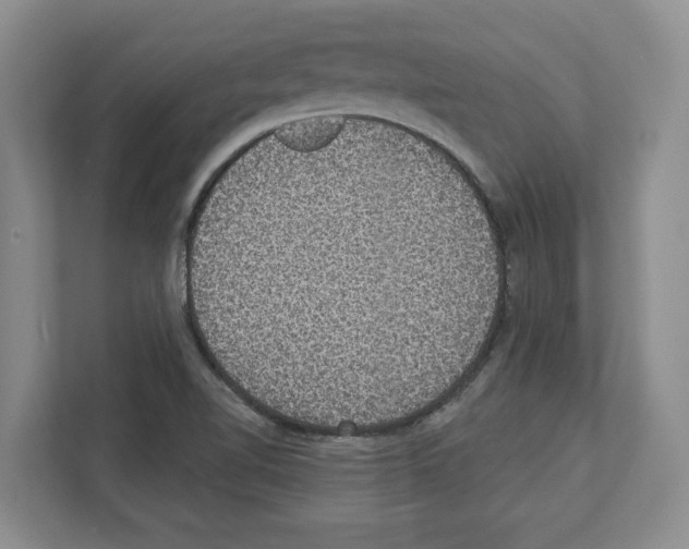 X0000111831510200909031503