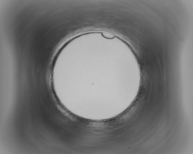 X0000111831511200909031503
