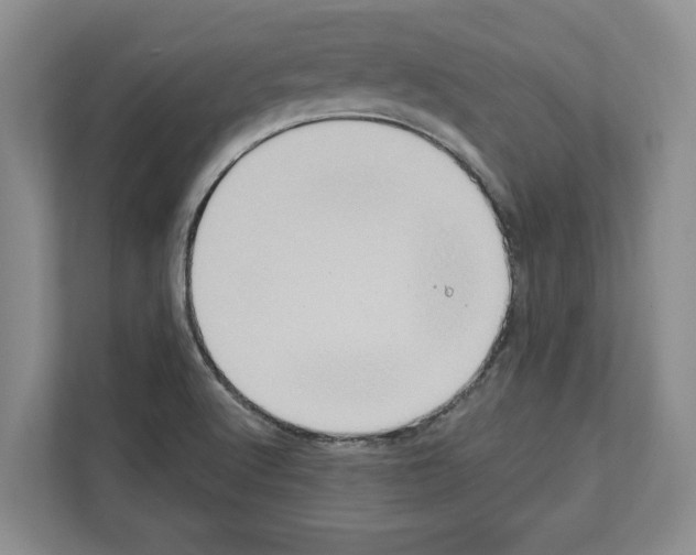 X0000111831512200909031503