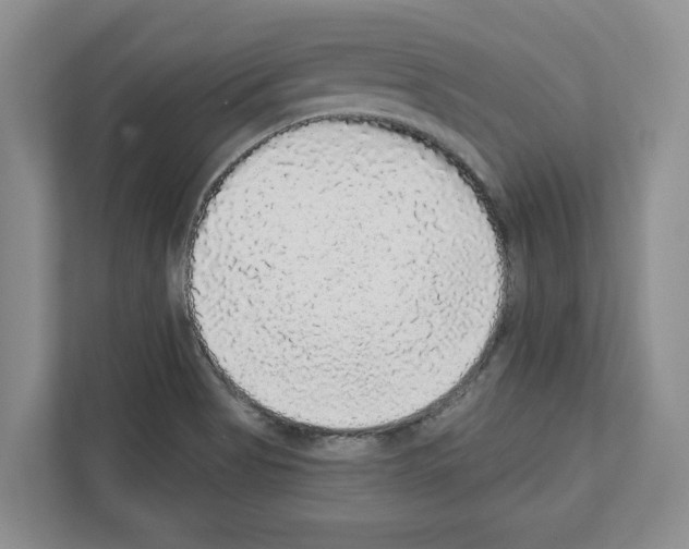 X0000111831513200909031503