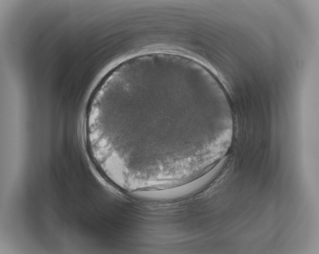 X0000111831515200909031503