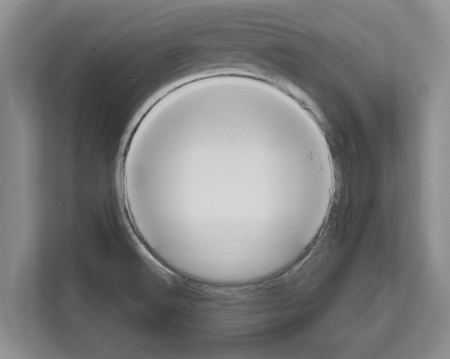 X0000111831516200909031503