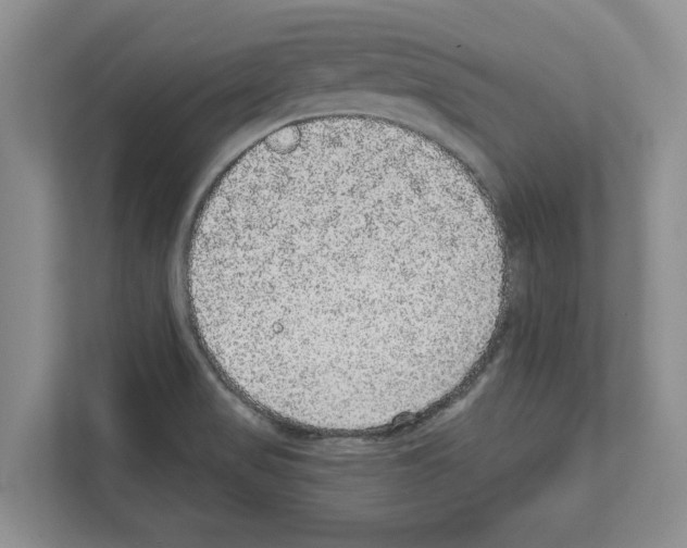 X0000111831517200909031503