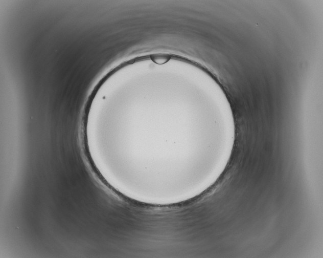 X0000111831518200909031503