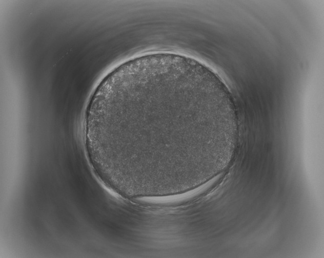 X0000111831519200909031503