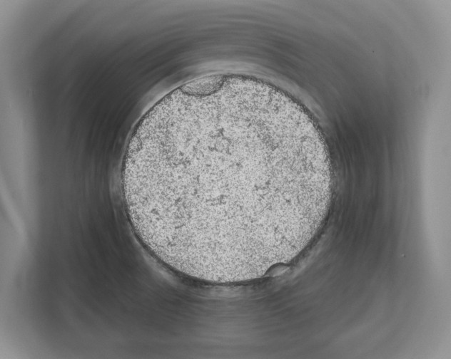 X0000111831521200909031503