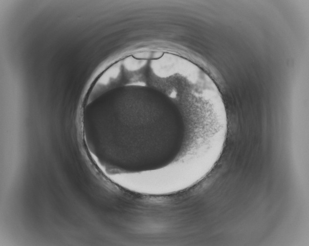X0000111831522200909031503