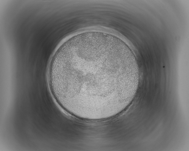 X0000111831523200909031503