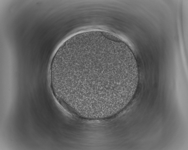 X0000111831524200909031503