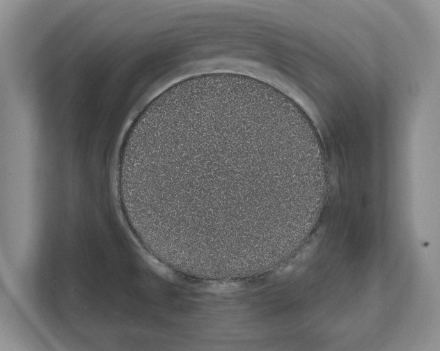 X0000111831525200909031503