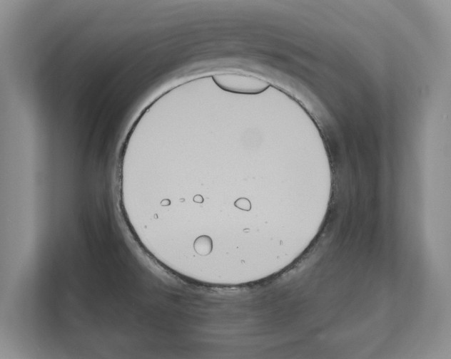 X0000111831526200909031503