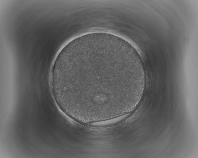 X0000111831527200909031503