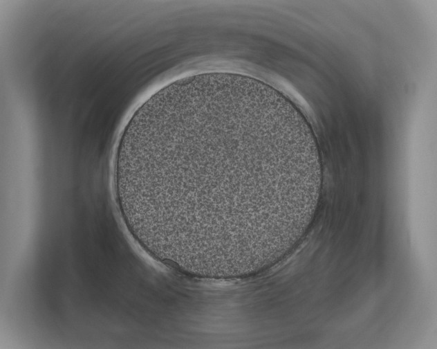 X0000111831528200909031503