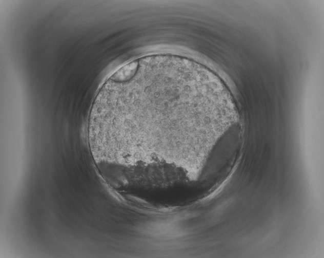 X0000111831529200909031503