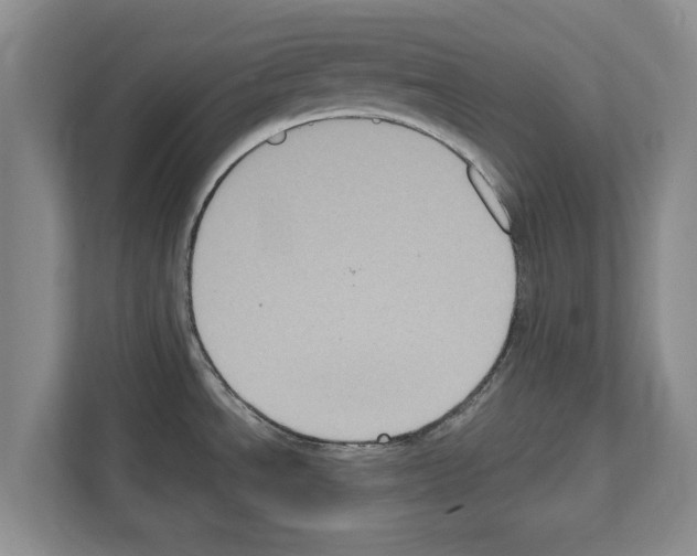 X0000111831534200909031503