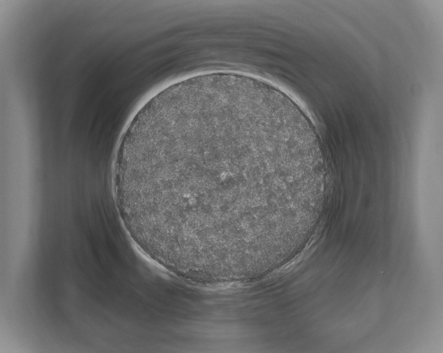 X0000111831535200909031503