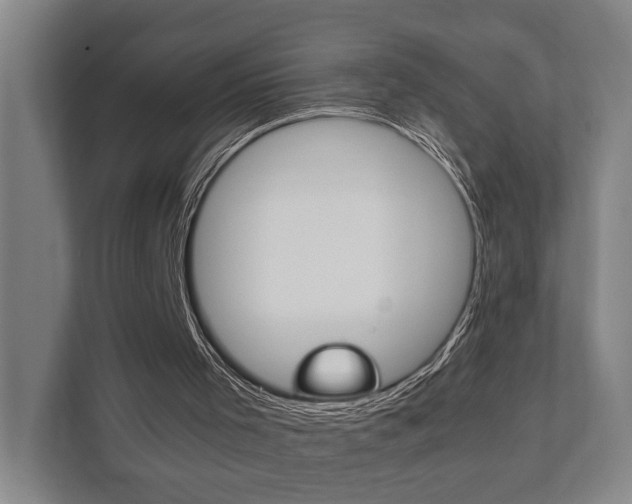X0000111840001200907231049