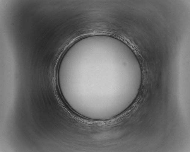 X0000111840002200907231048