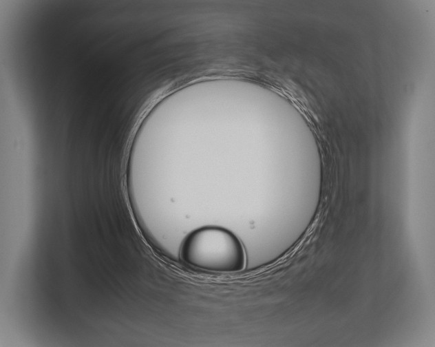 X0000111840003200907231048