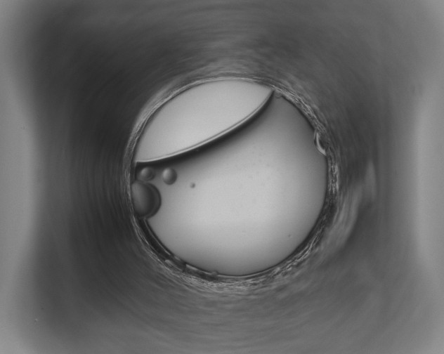 X0000111840004200907231048