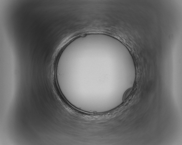 X0000111840005200907231048