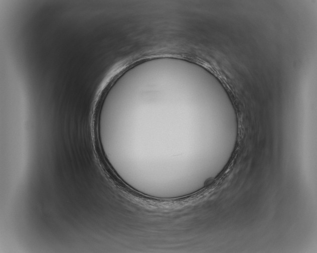 X0000111840006200907231048
