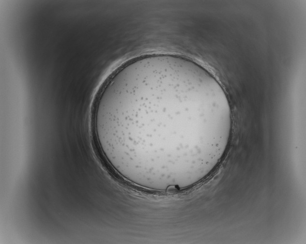 X0000111840008200907231048