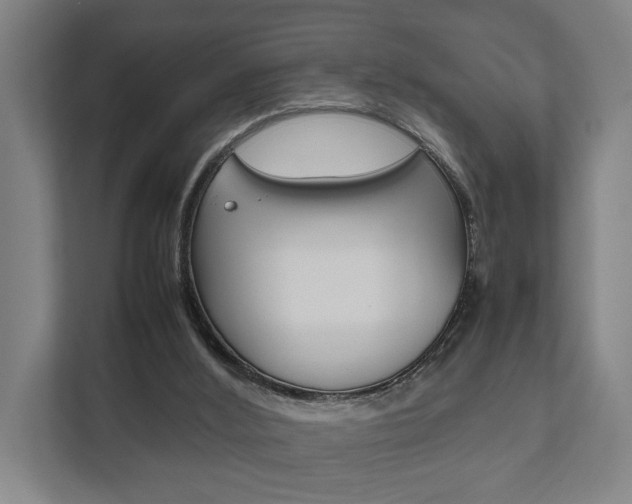 X0000111840012200907231048