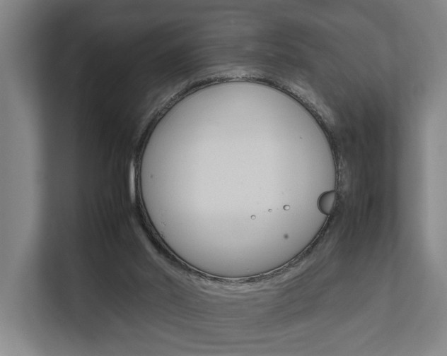 X0000111840014200907231048